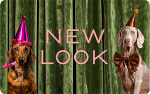 New Look Christmas Dogs
